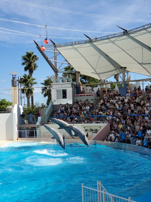 生活介護で水族館へ行ってきましたサムネイル