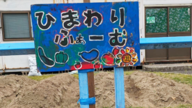 ひまわりふぁーむサムネイル